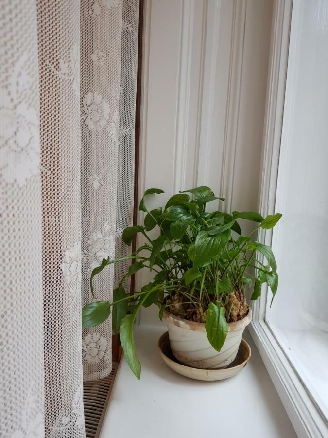 Sakuranbo - Guest House Budapest Ngoại thất bức ảnh